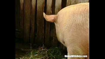 play Seks met varkens met twee gekke mensen die hardcore seks hebben